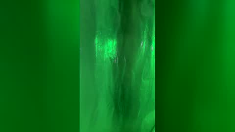 Chase2Attract online show from 03-24-26, 02:44