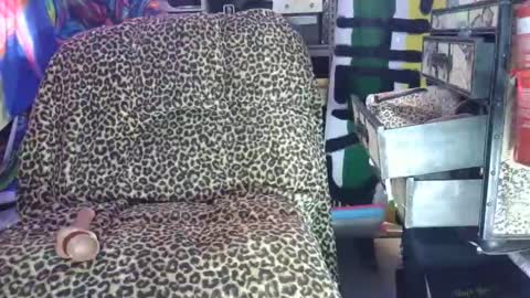 Sah009XXX online show from 03-07-26, 09:50