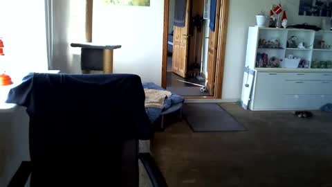 chefben666 online show from 03-31-26, 03:56