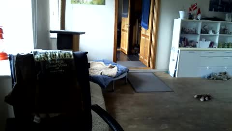 chefben666 online show from 04-15-26, 11:17