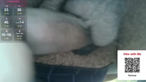 Snapshot of chefjason52 chatting on 12-17-25, 05:19 Fun With Daddys Dick Fantacy Room online show from 12-17-25, 05:19