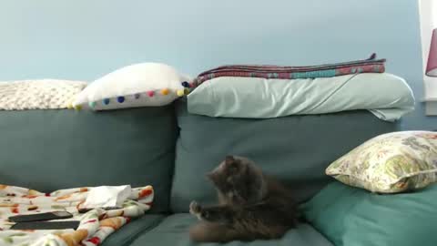 Chelsea online show from 01-28-25, 05:46