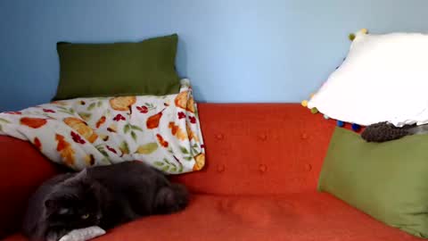 Chelsea online show from 09-23-25, 01:25