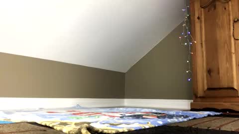 chenovich online show from 01-04-25, 01:42