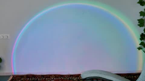 Bella online show from 02-11-26, 09:14