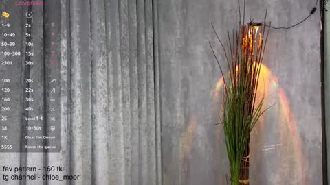 Snapshot of chloe_moor chatting on 12-10-24, 09:00 Chloe online show from 12-10-24, 09:00