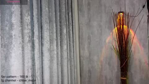 Snapshot of chloe_moor chatting on 01-16-25, 04:49 Chloe online show from 01-16-25, 04:49