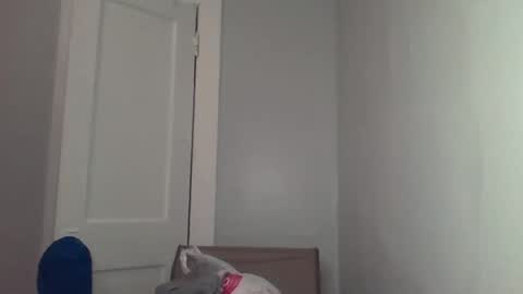 chocolatedolla online show from 03-04-25, 02:27