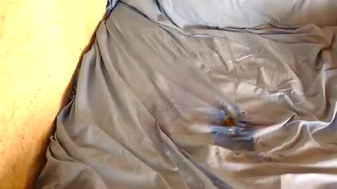 davenz online show from 02-28-25, 03:04