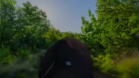 Snapshot of chris2024x chatting on 11-10-25, 07:51 Christian online show from 11-10-25, 07:51