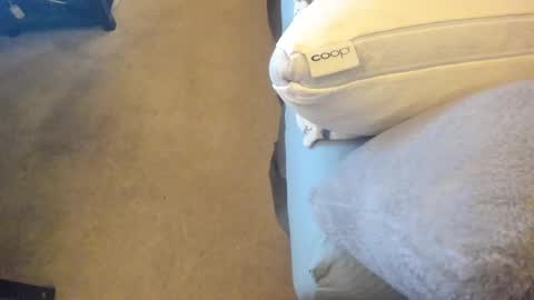 Chris Martinson XXX online show from 02-27-25, 12:43