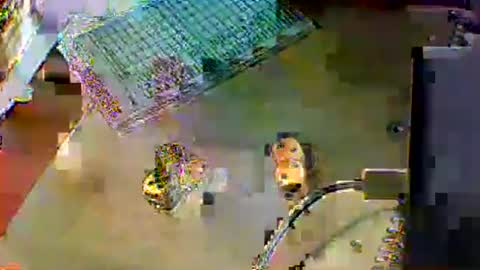 chubbyboy1986 online show from 10-17-25, 10:01