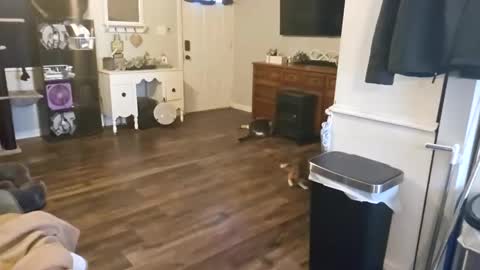 ChubbyHubby420 online show from 09-12-25, 01:44