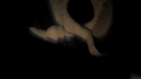 Snapshot of chuck7891 chatting on 11-30-25, 12:47 chuck7891 online show from 11-30-25, 12:47