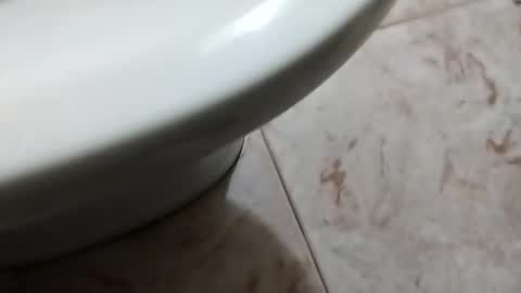 Snapshot of ciccilli chatting on 10-05-25, 08:29 ciccilli online show from 10-05-25, 08:29