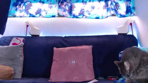 Snapshot of cicimom chatting on 02-05-25, 05:20 cicimom online show from 02-05-25, 05:20