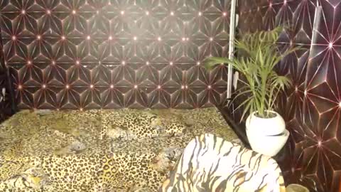 Snapshot of cindyts09 chatting on 01-07-25, 03:35 Cindy online show from 01-07-25, 03:35