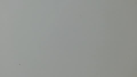 cinthia1609 online show from 02-11-25, 02:03