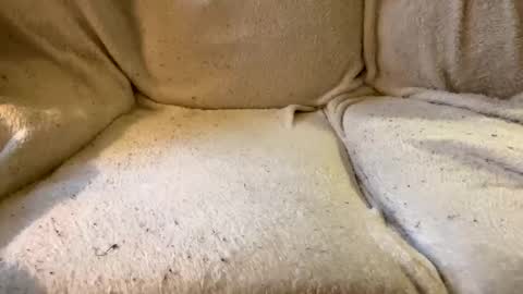 Snapshot of circlejerkslutt chatting on 12-17-24, 04:53 join the circle online show from 12-17-24, 04:53