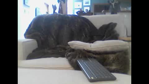 clitboy658752 online show from 01-14-26, 09:42