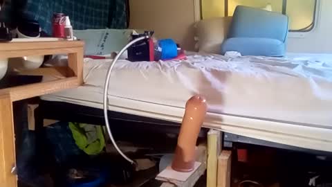 HeyTurkeyBoy online show from 09-19-25, 09:48