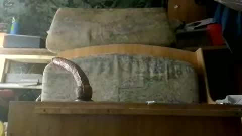 HeyTurkeyBoy online show from 03-15-26, 11:49