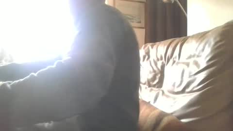 Snapshot of cock9635 chatting on 12-28-24, 07:55 cock9635 online show from 12-28-24, 07:55