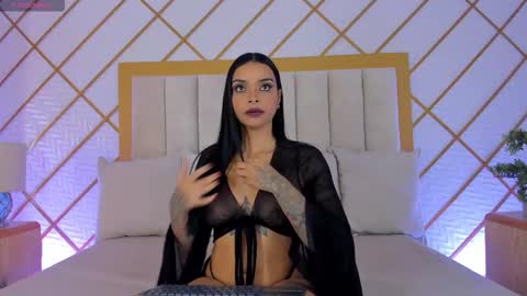    online show from 02-07-26, 11:25