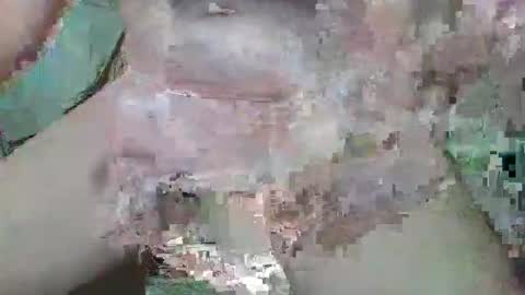 cogela_sin_miedo online show from 10-20-25, 11:27