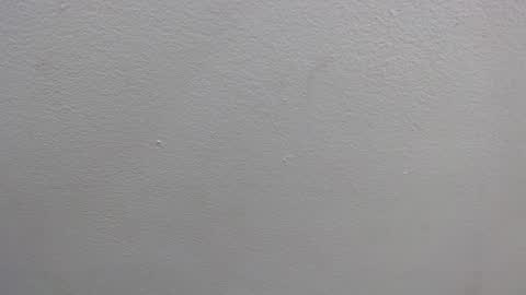 Snapshot of colombia_mommy_ chatting on 01-16-25, 12:31 GRETCHEN online show from 01-16-25, 12:31