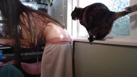 ANR Mommy online show from 09-26-25, 08:24