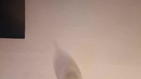 cooper_120805 online show from 09-23-25, 02:47