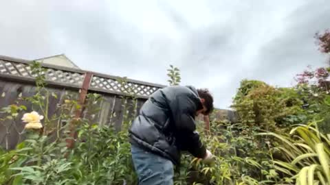 coronelking online show from 09-28-25, 10:26