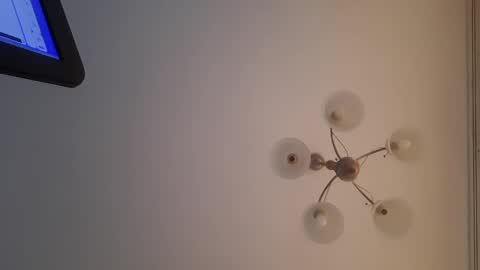 Snapshot of corvus4 chatting on 12-30-24, 12:52 Corvus online show from 12-30-24, 12:52