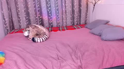 Alice online show from 03-01-25, 11:58