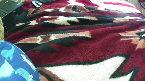 countryguy751601 online show from 03-21-26, 07:06