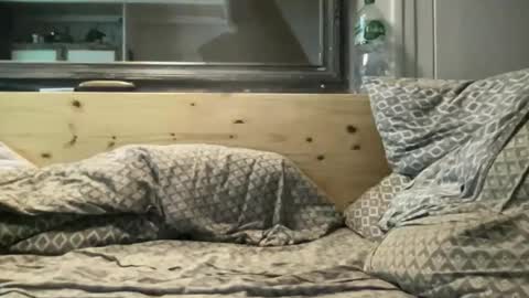 Snapshot of crapaud75018 chatting on 11-15-25, 08:49 crapaud75018 online show from 11-15-25, 08:49