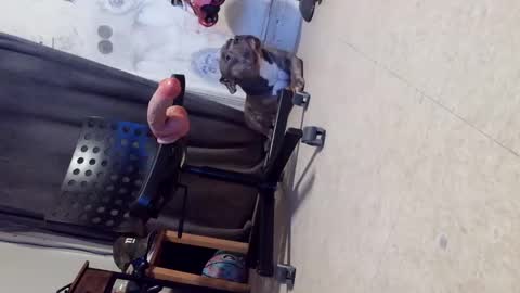 Snapshot of crazy4feetmanic chatting on 10-29-25, 06:15 drbucknaked online show from 10-29-25, 06:15