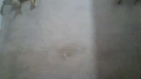 Snapshot of crazzy_booy chatting on 06-11-26, 04:32 crazzy_booy online show from 06-11-26, 04:32