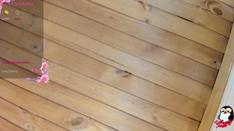 Cristal online show from 02-23-26, 04:10