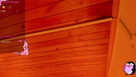 Cristal online show from 04-05-26, 04:42