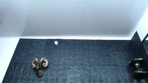 Snapshot of cristal_smith06 chatting on 02-13-25, 04:54 Hanna online show from 02-13-25, 04:54