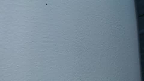 Snapshot of cristal_smith06 chatting on 02-15-25, 06:02 Hanna online show from 02-15-25, 06:02