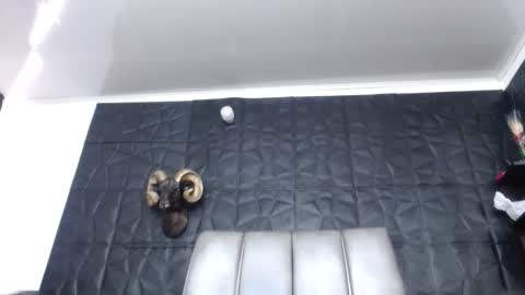 Hanna  online show from 03-15-26, 02:01