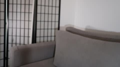 Laura online show from 01-17-26, 09:29