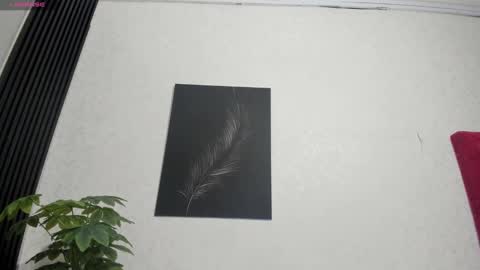 cristopher23  online show from 02-02-25, 07:57