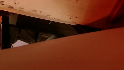 cryan96 online show from 02-04-25, 08:56