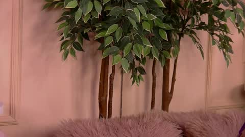 crystallred online show from 02-18-26, 06:20