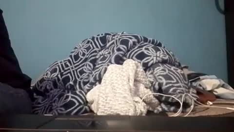 cumbian_chero online show from 07-14-26, 03:44