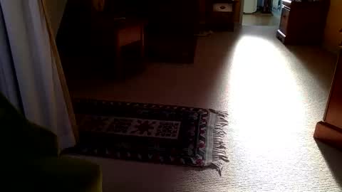 Snapshot of cumonherguys chatting on 10-28-25, 08:29 cumonherguys online show from 10-28-25, 08:29